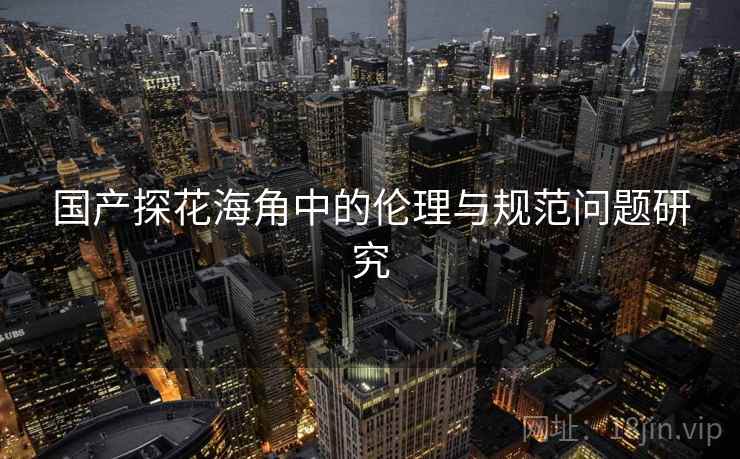 国产探花海角中的伦理与规范问题研究