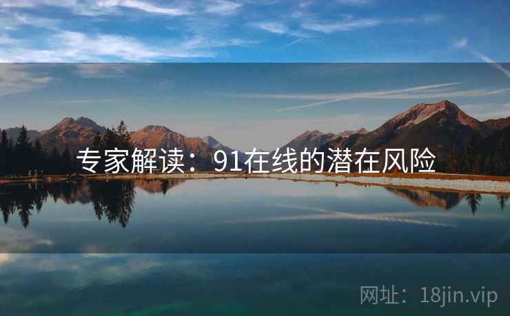 专家解读：91在线的潜在风险