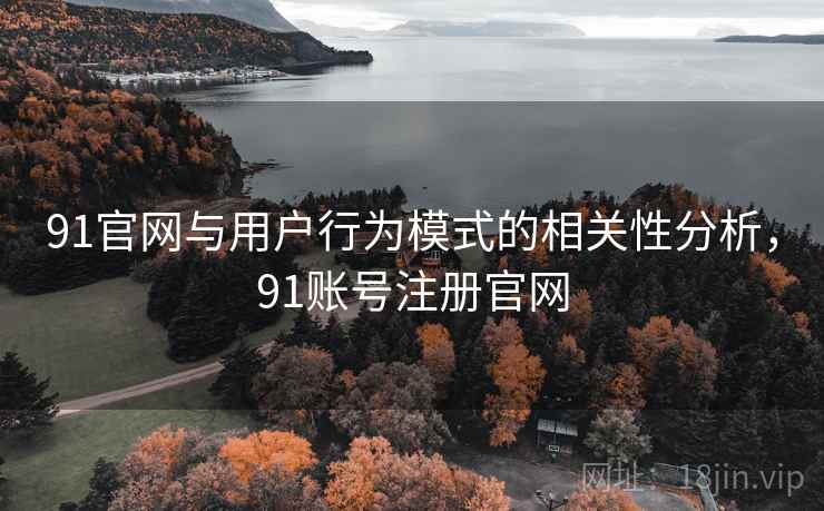 91官网与用户行为模式的相关性分析，91账号注册官网