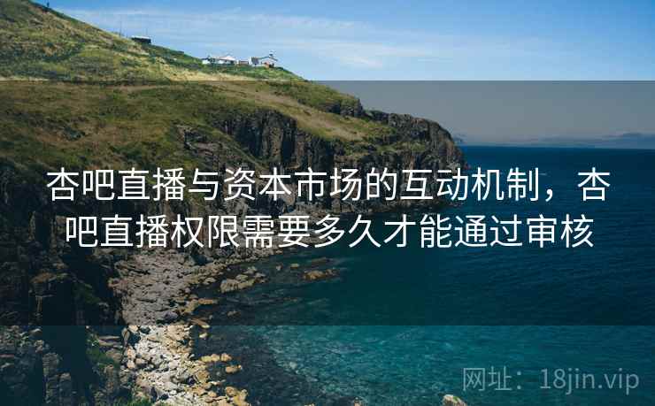 杏吧直播与资本市场的互动机制，杏吧直播权限需要多久才能通过审核