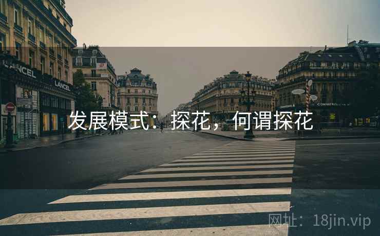 发展模式：探花，何谓探花