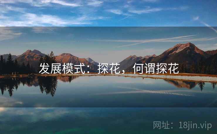 发展模式：探花，何谓探花