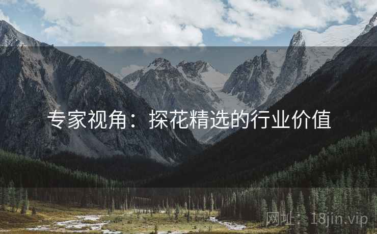 专家视角：探花精选的行业价值