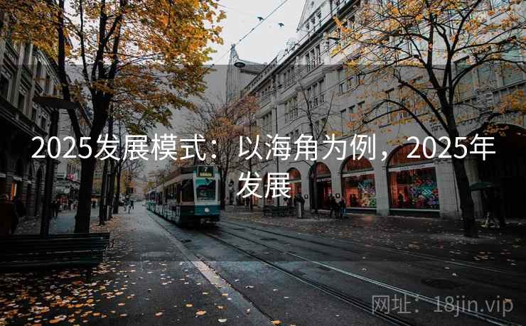 2025发展模式：以海角为例，2025年发展
