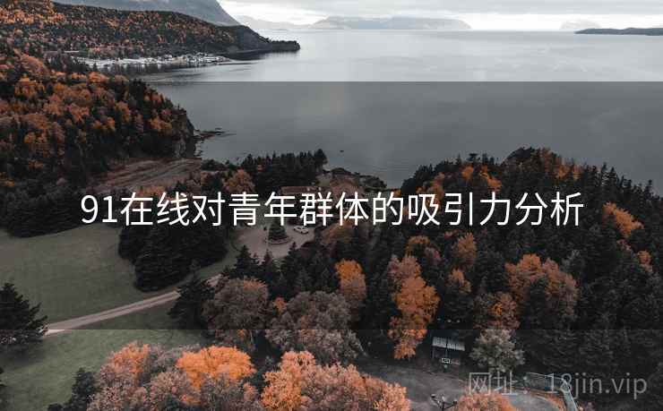 91在线对青年群体的吸引力分析