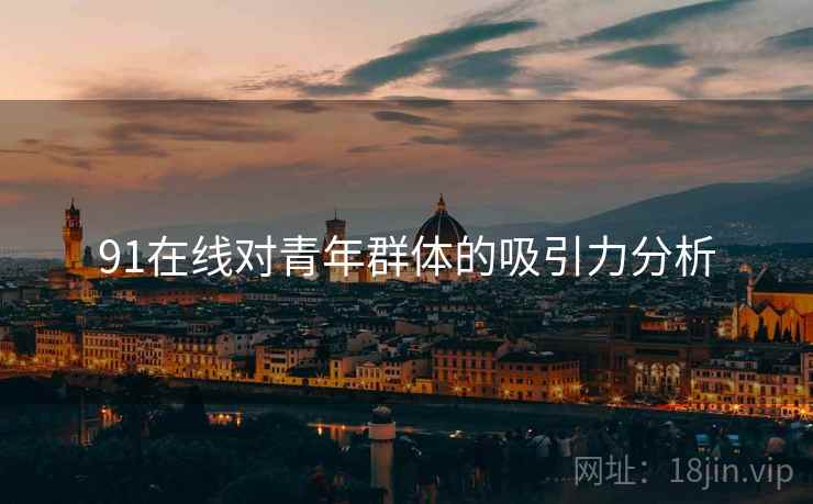 91在线对青年群体的吸引力分析
