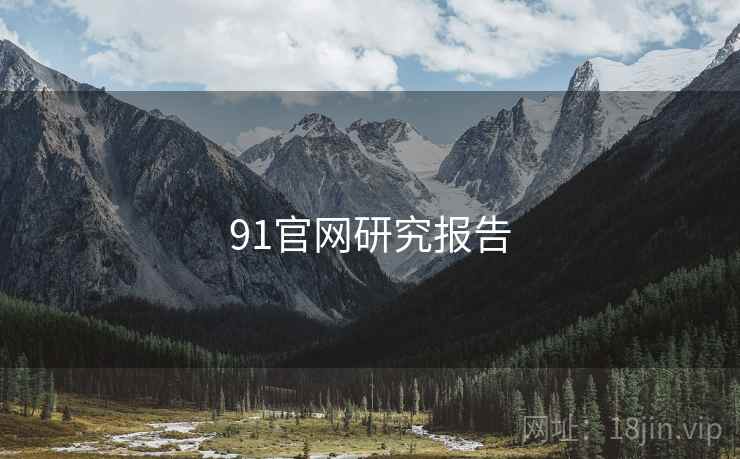 91官网研究报告