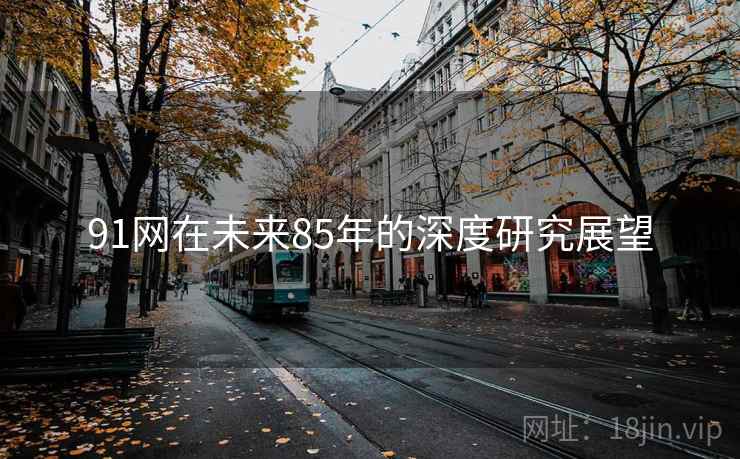 91网在未来85年的深度研究展望