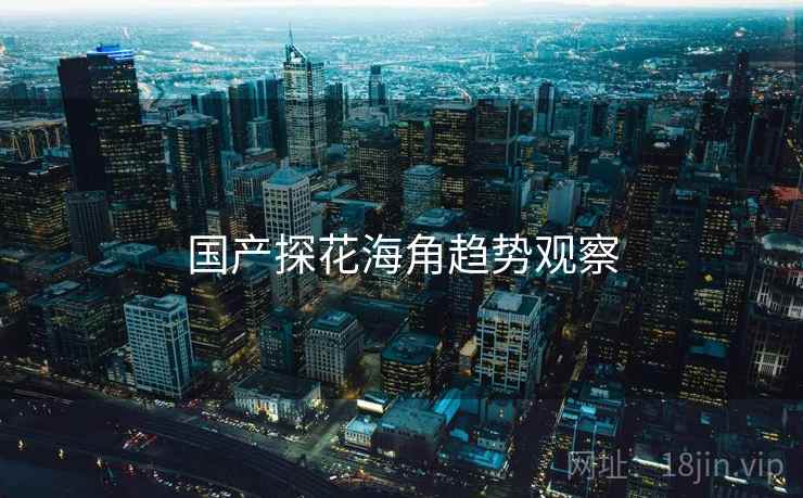 国产探花海角趋势观察