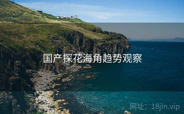 国产探花海角趋势观察