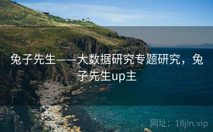 兔子先生——大数据研究专题研究，兔子先生up主