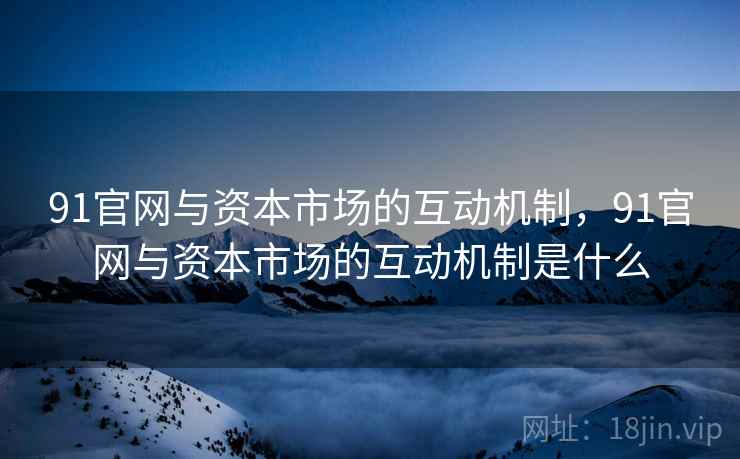 91官网与资本市场的互动机制，91官网与资本市场的互动机制是什么