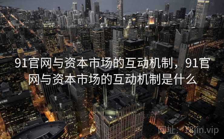 91官网与资本市场的互动机制，91官网与资本市场的互动机制是什么