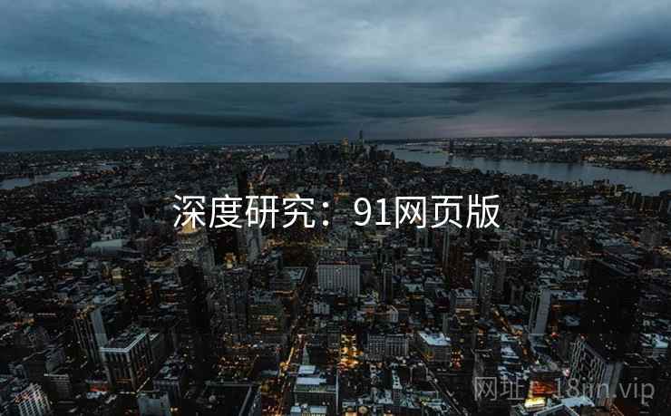 深度研究：91网页版