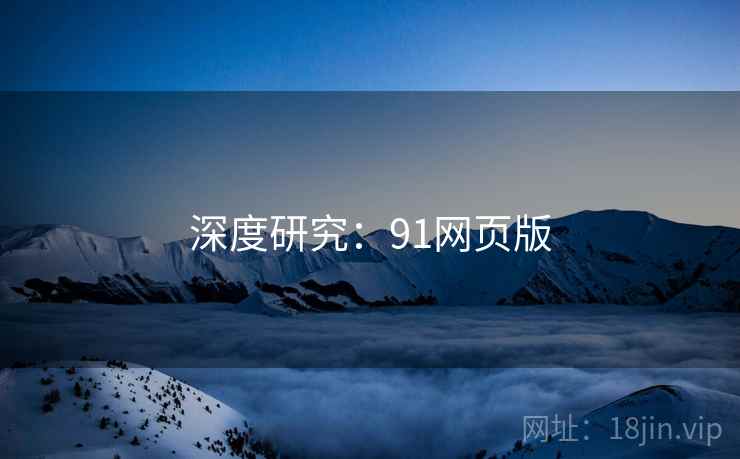 深度研究：91网页版