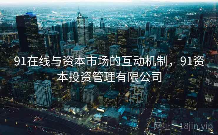 91在线与资本市场的互动机制，91资本投资管理有限公司