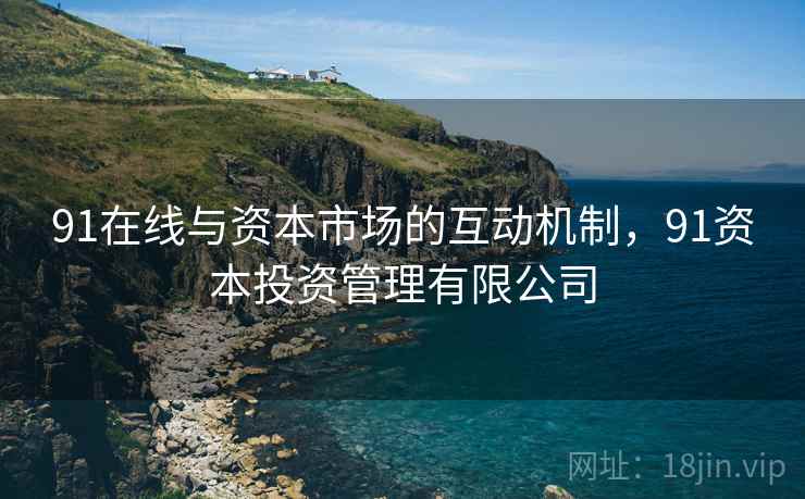 91在线与资本市场的互动机制，91资本投资管理有限公司