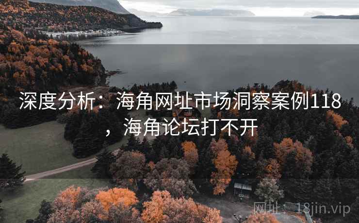 深度分析：海角网址市场洞察案例118，海角论坛打不开