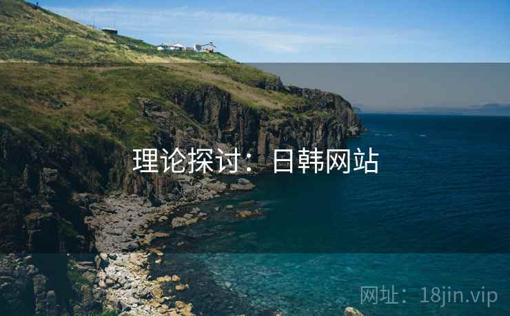 理论探讨：日韩网站