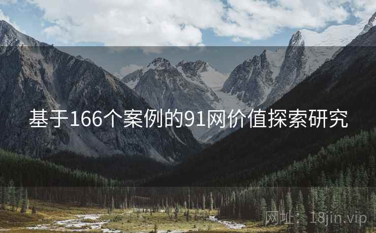 基于166个案例的91网价值探索研究