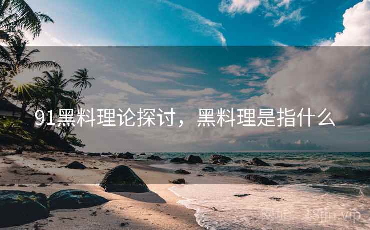 91黑料理论探讨，黑料理是指什么