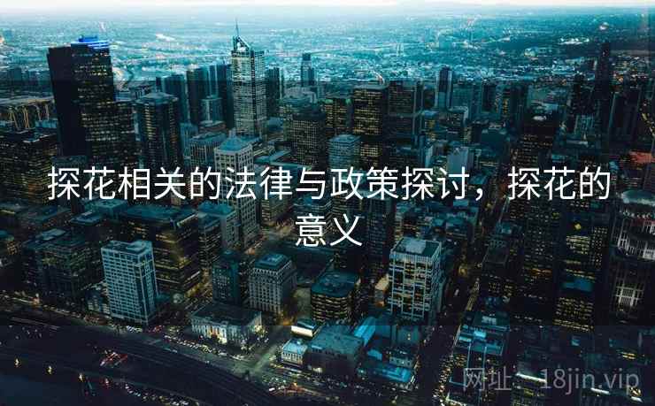 探花相关的法律与政策探讨，探花的意义