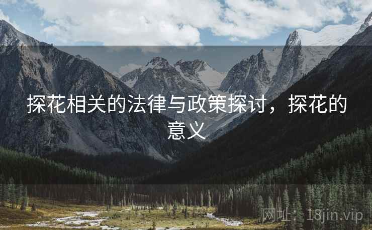 探花相关的法律与政策探讨，探花的意义