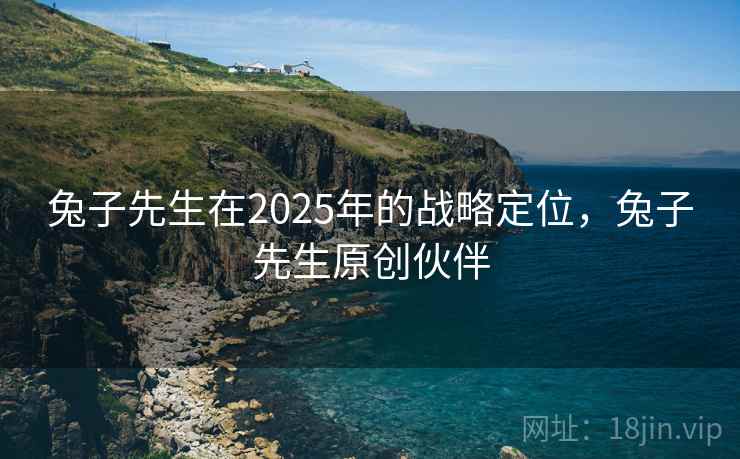 兔子先生在2025年的战略定位，兔子先生原创伙伴