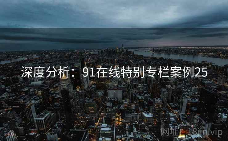深度分析：91在线特别专栏案例25