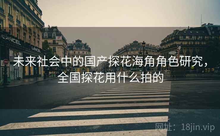 未来社会中的国产探花海角角色研究，全国探花用什么拍的