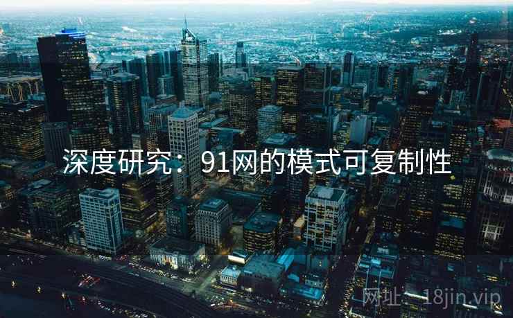 深度研究：91网的模式可复制性