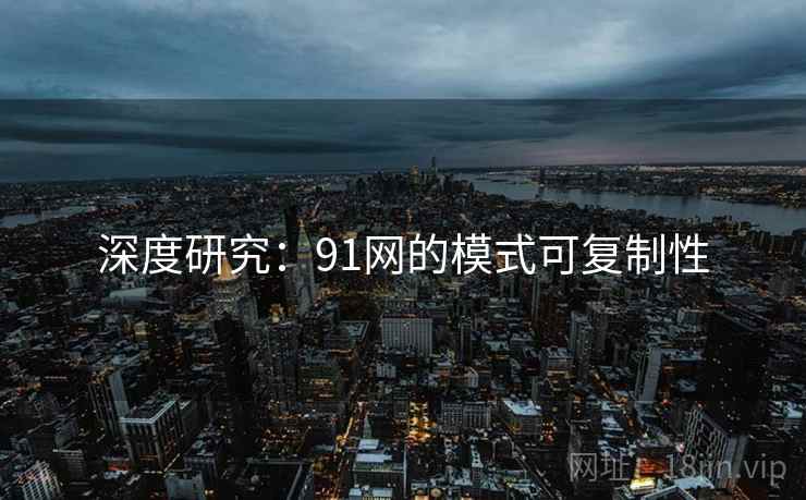 深度研究：91网的模式可复制性