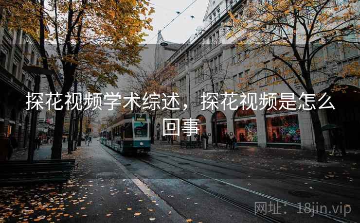探花视频学术综述，探花视频是怎么回事