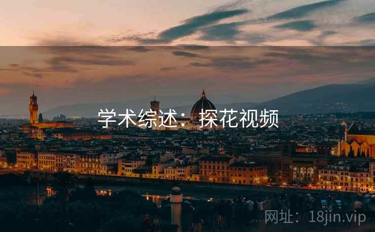 学术综述：探花视频