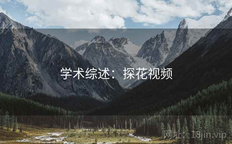 学术综述：探花视频