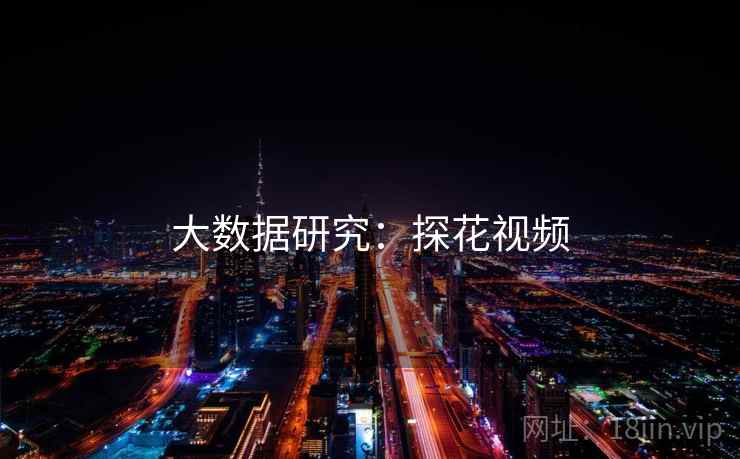 大数据研究：探花视频