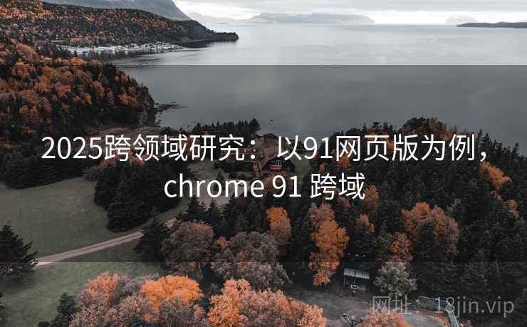 2025跨领域研究：以91网页版为例，chrome 91 跨域