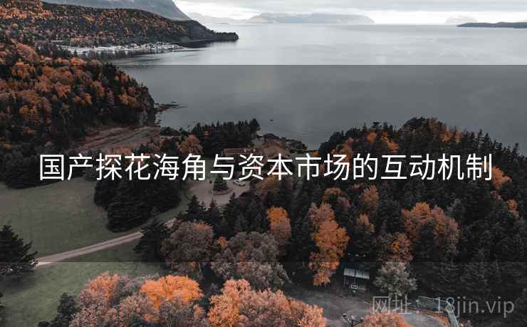 国产探花海角与资本市场的互动机制