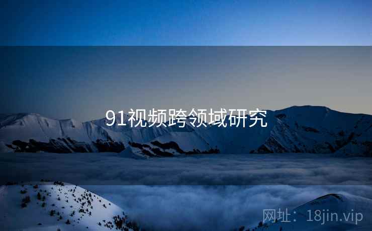 91视频跨领域研究