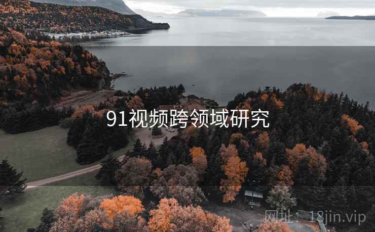 91视频跨领域研究