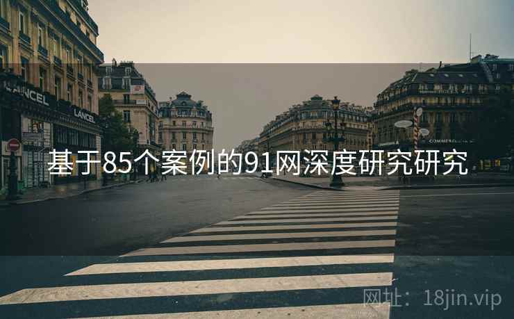 基于85个案例的91网深度研究研究
