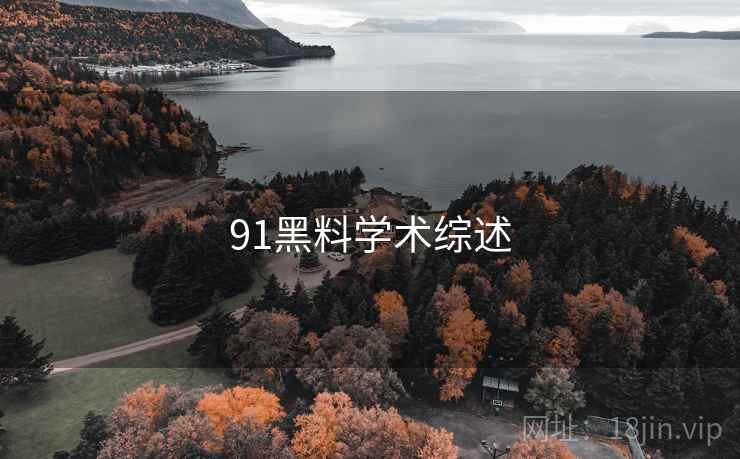 91黑料学术综述