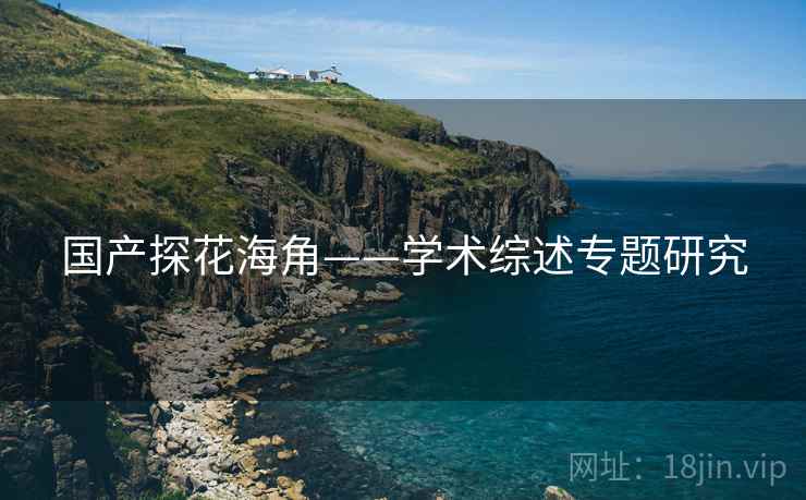国产探花海角——学术综述专题研究