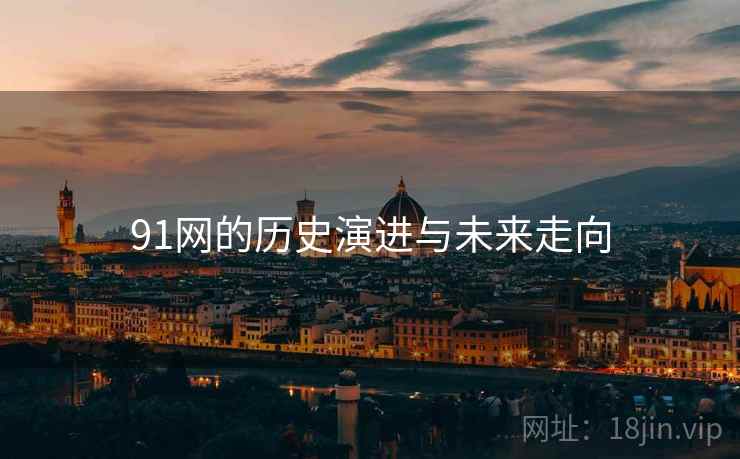 91网的历史演进与未来走向