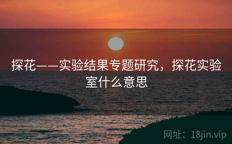 探花——实验结果专题研究，探花实验室什么意思